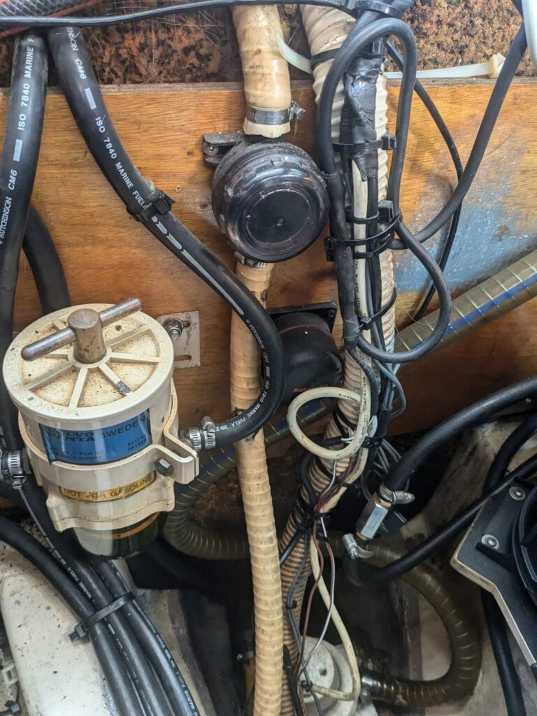 pxl 20240729 080428601