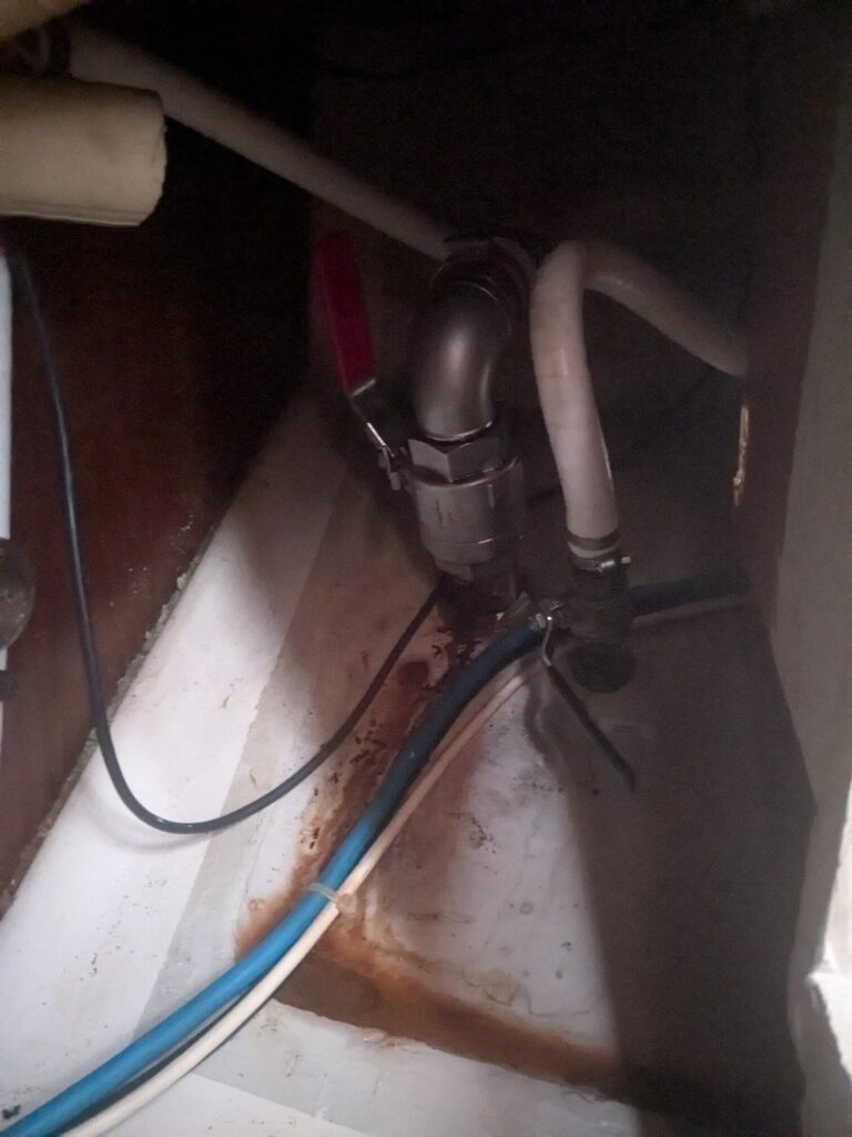 pxl 20240729 092033175